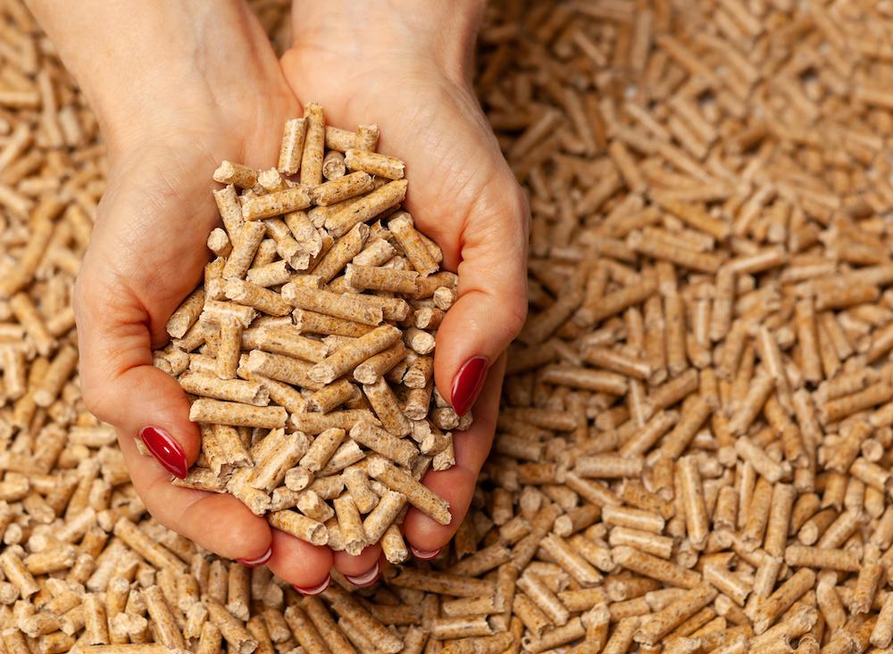Alternative Biofuel From Sawdust Wood Pellets In Hands.